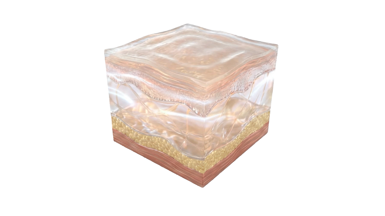 Cell Balancing (진정 및 재생) GIF