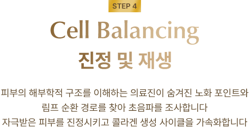 Cell Balancing 진정 및 재생