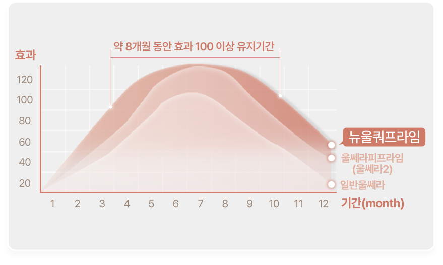 뉴울쿼 약 8개월 동안 효과 100이상 유지기간 효과 120