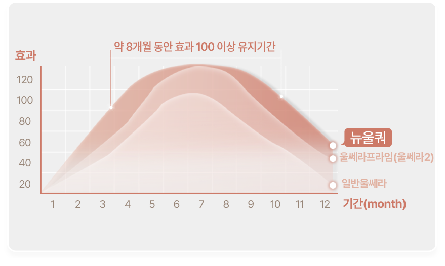 뉴울쿼 약 8개월 동안 효과 100이상 유지기간 효과 120