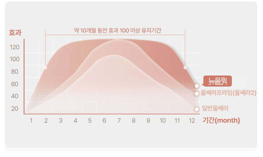 뉴울쿼 약 10개월 동안 효과 100이상 유지기간 효과 120