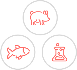 PDRN, PDLLA, 돼지 콜라겐