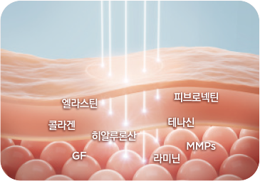 엘라비에 리투오 성분