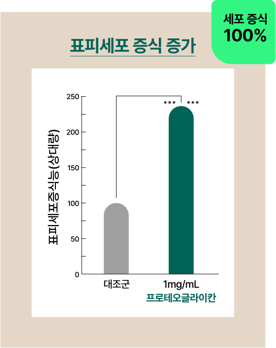 표피세포 증식 증가