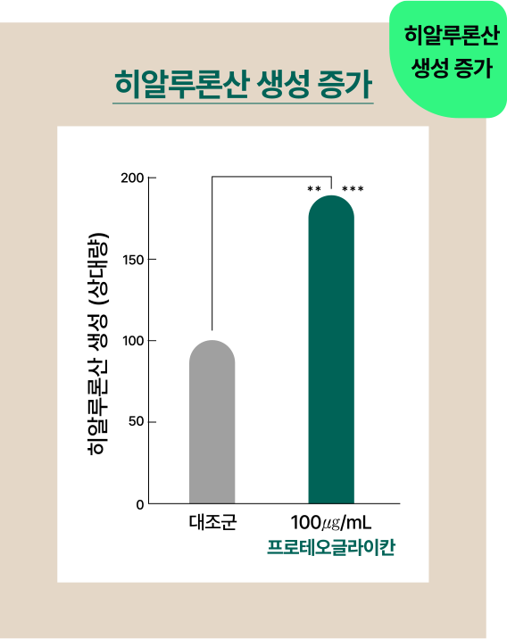 히알루론산 생성 증가