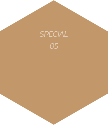 special5