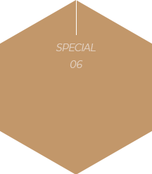 special6