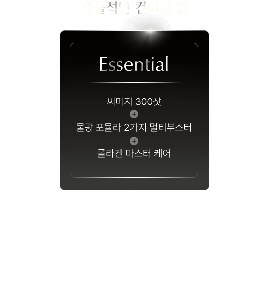 뉴썸쿼 5Step id 레이어드 아키텍처 프로그램