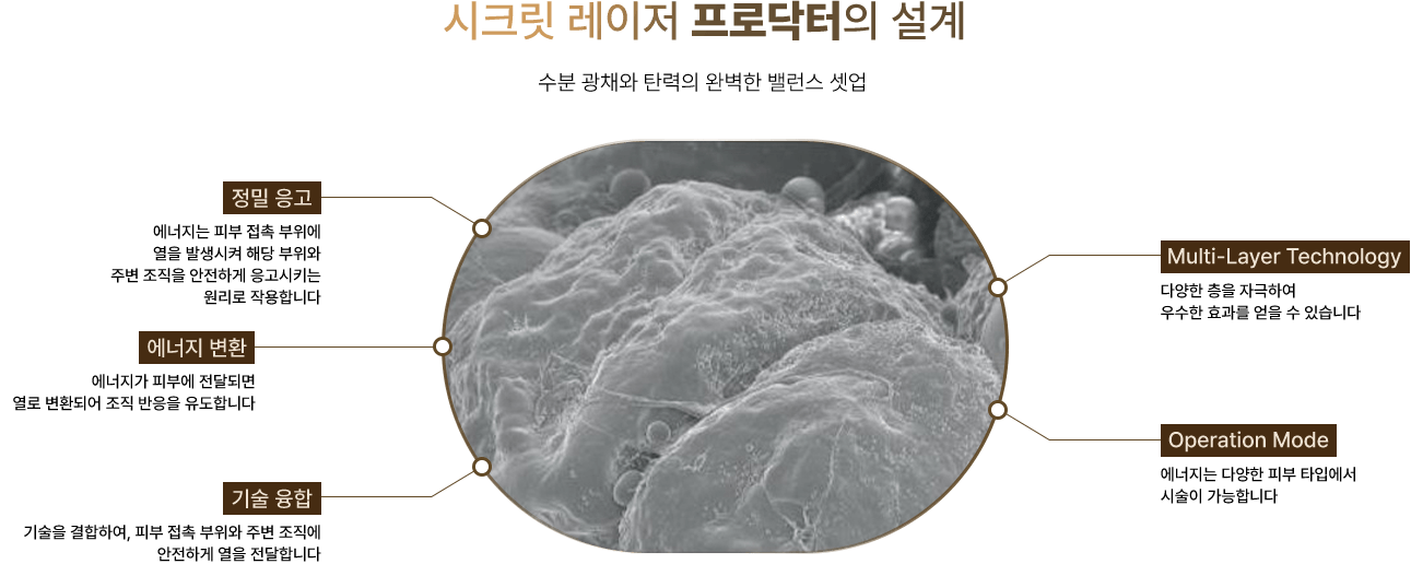 시크릿 레이저 프로닥터의 설계