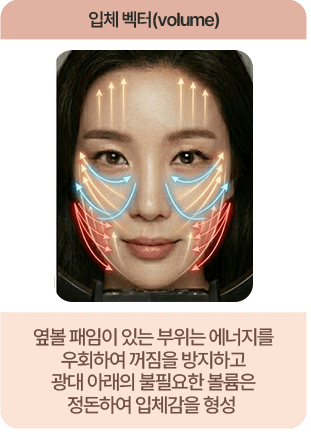 입체 벡터 옆볼 패임이 있는 부위는 에너지를 우회하여 꺼짐을 방지하고 광대 아래의 불필요한 볼륨은 정돈하여 입체감을 형성