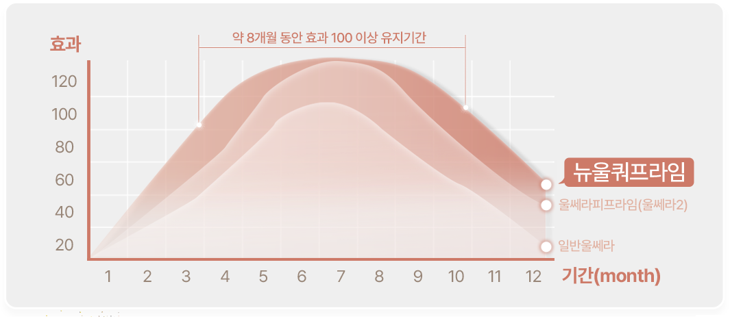 뉴울쿼 약 8개월 동안 효과 100이상 유지기간 효과 120