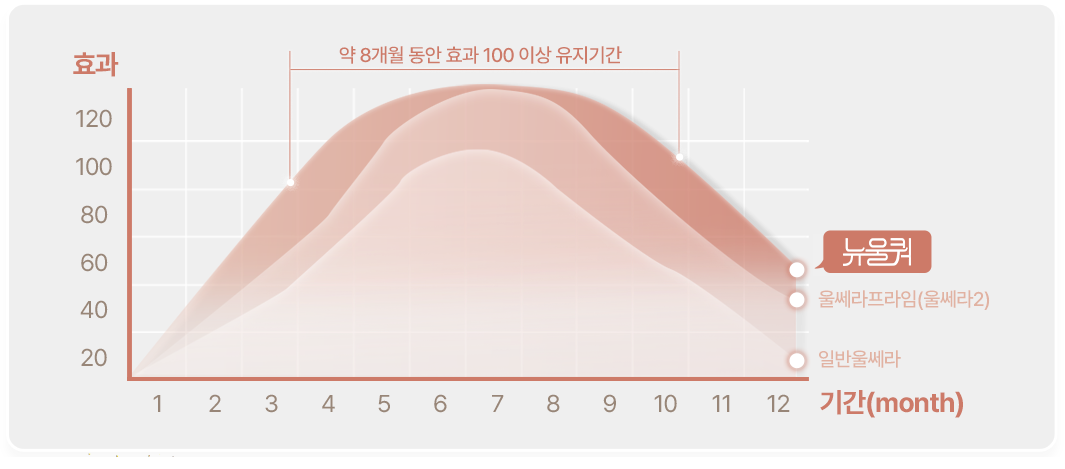 뉴울쿼 약 8개월 동안 효과 100이상 유지기간 효과 120