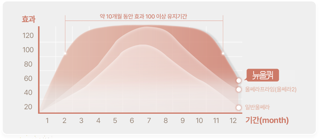 뉴울쿼 약 8개월 동안 효과 100이상 유지기간 효과 120