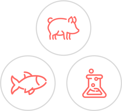 PDRN, PDLLA, 돼지 콜라겐