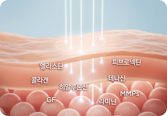 엘라비에 리투오 성분